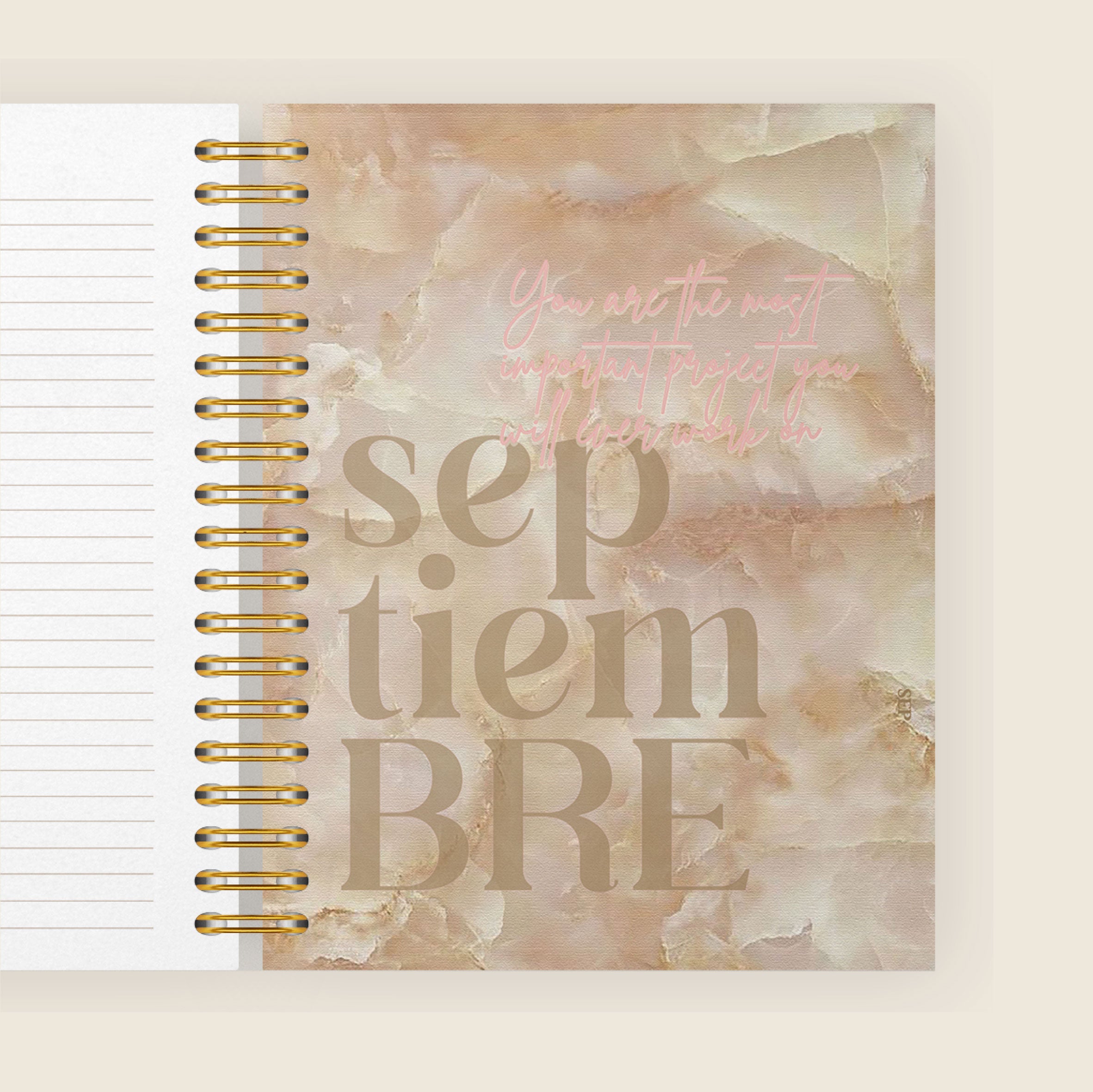 PINK DREAMS daily planner 2025